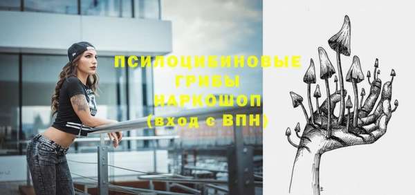 Альфа ПВП Армянск
