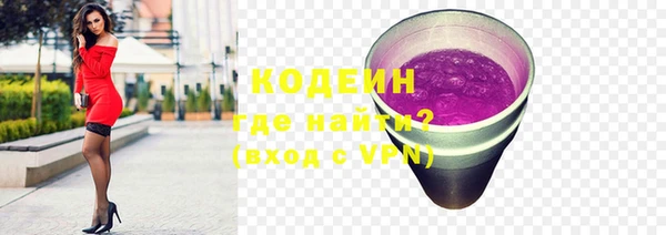 хмурый Няндома