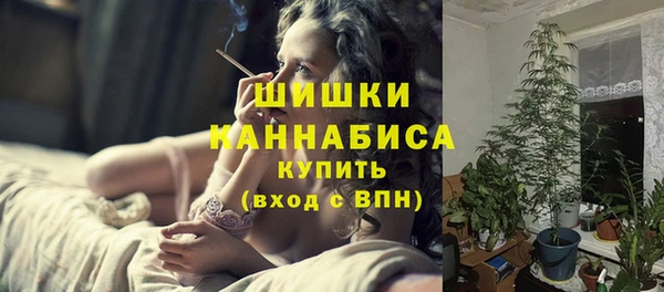 молекула духа Сосновоборск