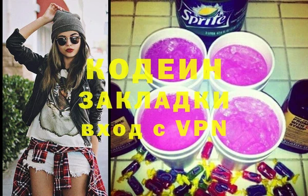 хмурый Няндома