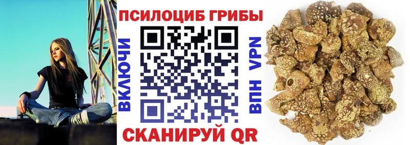 купить  сайты  Инта  Галлюциногенные грибы ЛСД 